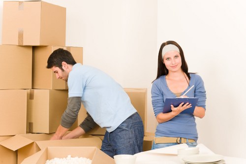 Professional man with a van service for South Kensington removals